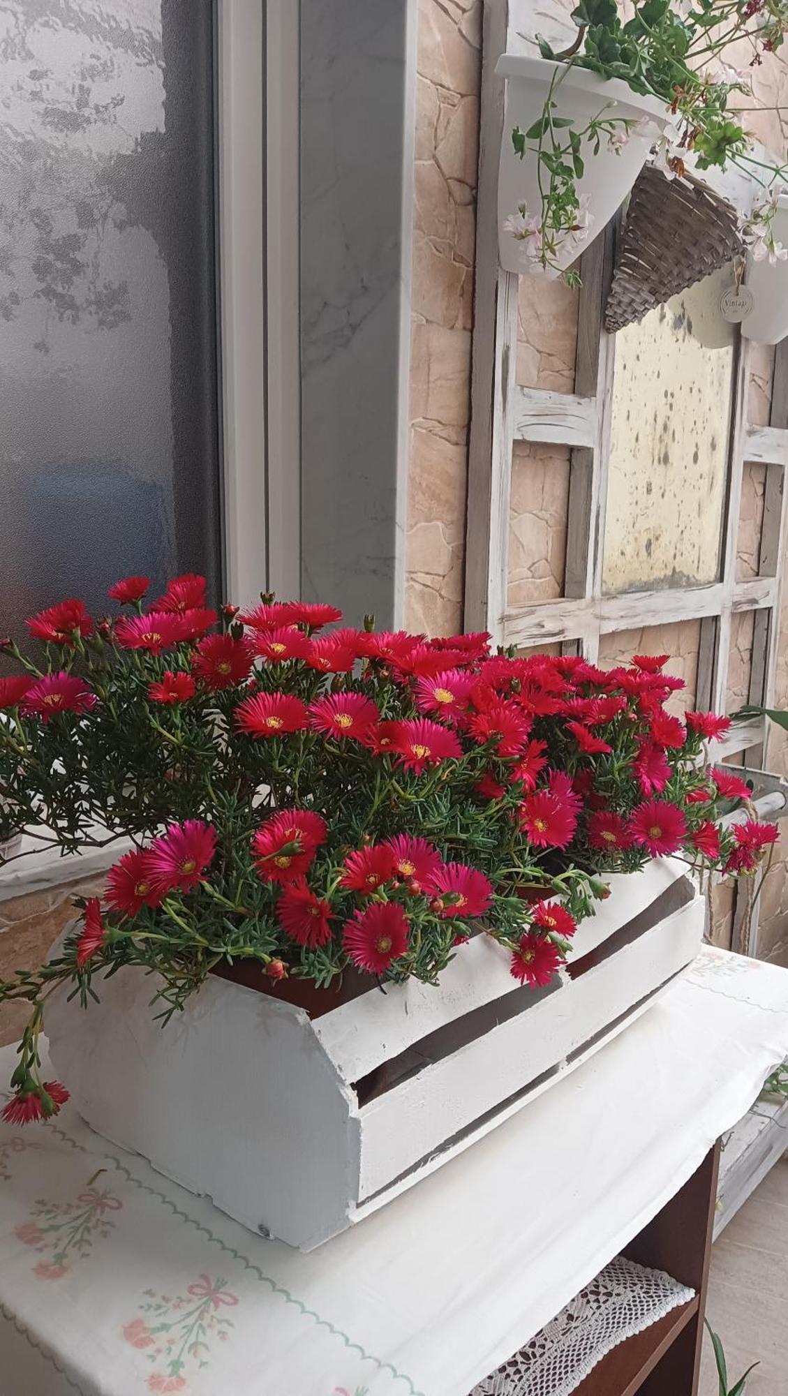 Le 3 Dee Bed & Breakfast Reggio Calabria Room photo